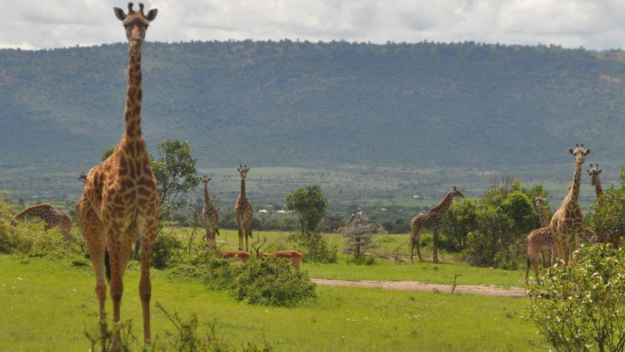 Osero Lodge Ololaimutiek Esterno foto